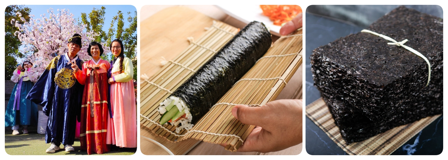 พิพิธภัณฑ์สาหร่าย พิพิธภัณฑ์สาหร่าย