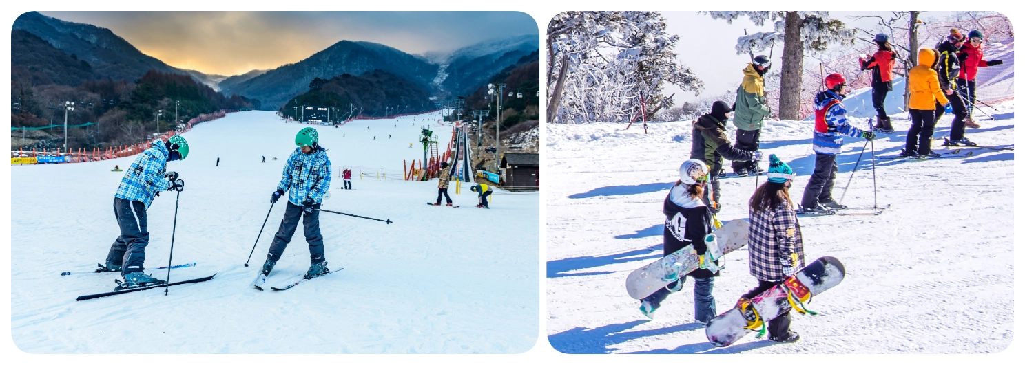 เล่นสกีที่เกาหลี เล่นสกีที่เกาหลี