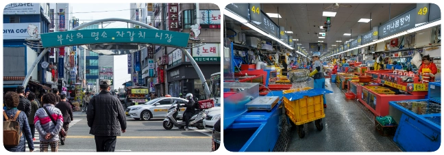 Jagalchi-Market ตลาดอาหารทะเลจากัลชี