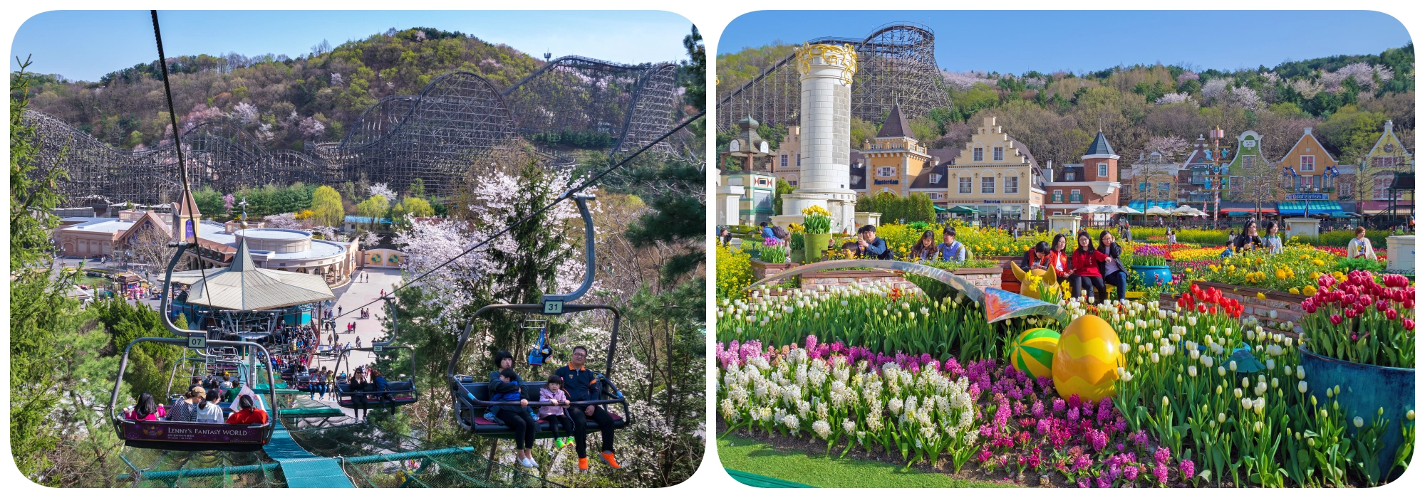 เอเวอร์แลนด์ธีมปาร์ค เอเวอร์แลนด์ธีมปาร์ค