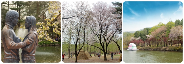 nami-spring-seoson เกาะนามิ