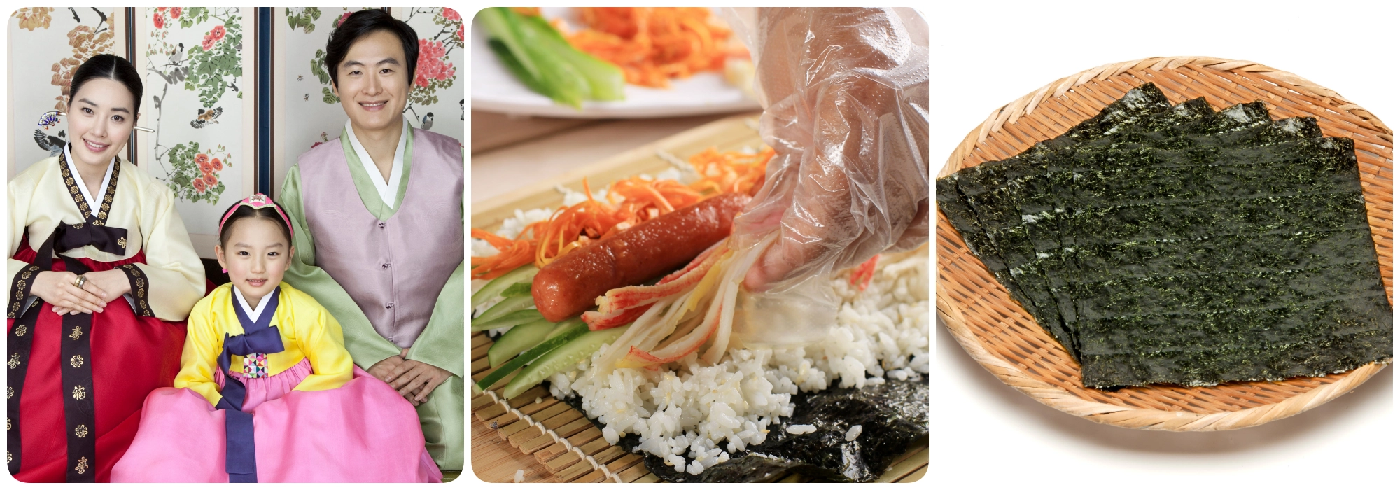 พิพิธภัณฑ์สาหร่าย พิพิธภัณฑ์สาหร่าย