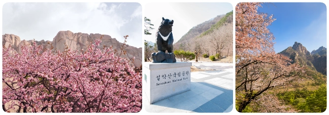 อุทยานแห่งชาติซอรัคซาน อุทยานแห่งชาติซอรัคซาน