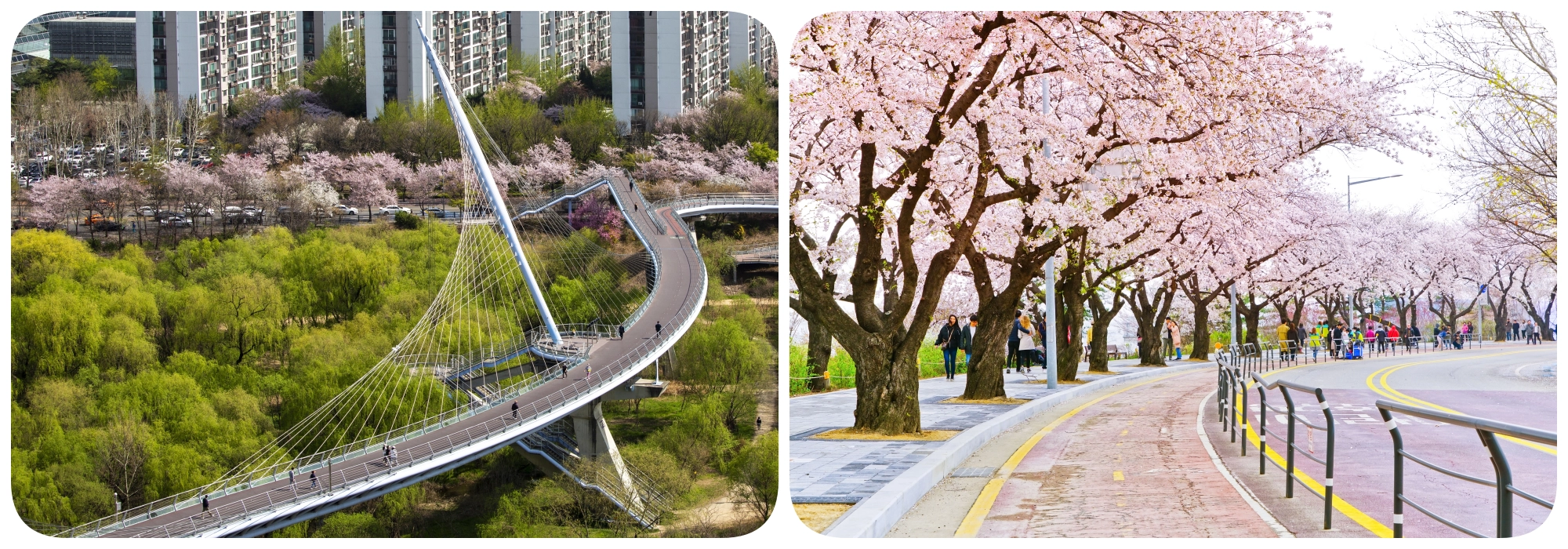 สวนและถนนยออิโด สวนและถนนยออิโด