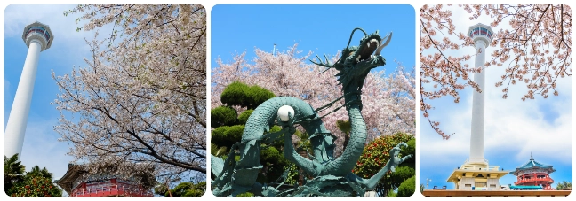 อุทยานยงดูซาน อุทยานยงดูซาน