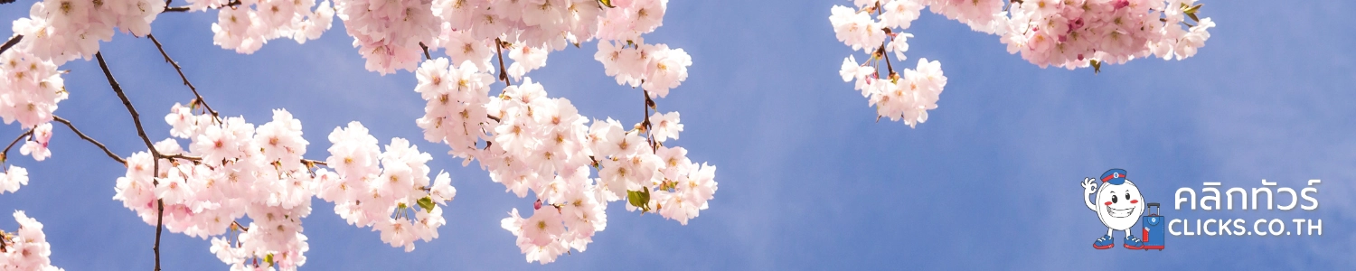 why-go-to-japan ทำไมต้องไปทัวร์ญี่ปุ่น